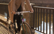Фонарь велосипедный передний 3 LED "RETRO STYLE" розовый 94315P-IS фото 6